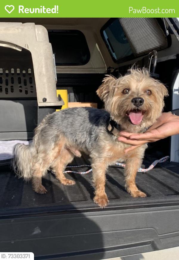 Reunited Unknown Dog last seen port st lucie, Port St. Lucie, FL 34986
