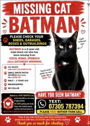 Lost Male Cat last seen Cecil road, Suffolk, England 