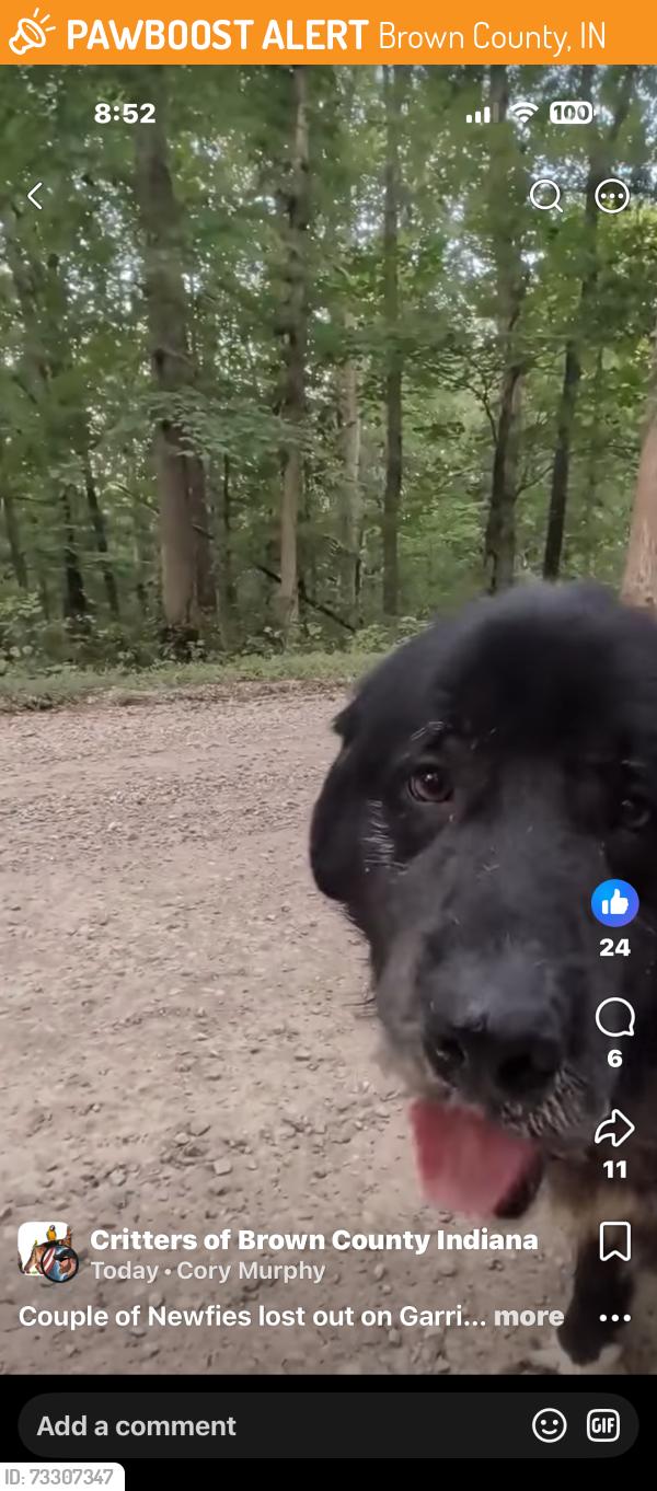Found/Stray Unknown Dog last seen Check the page he wrote on. Just sharing, Brown County, IN 47448