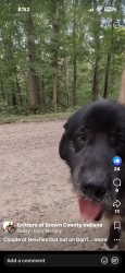Found/Stray Unknown Dog last seen Check the page he wrote on. Just sharing, Brown County, IN 47448