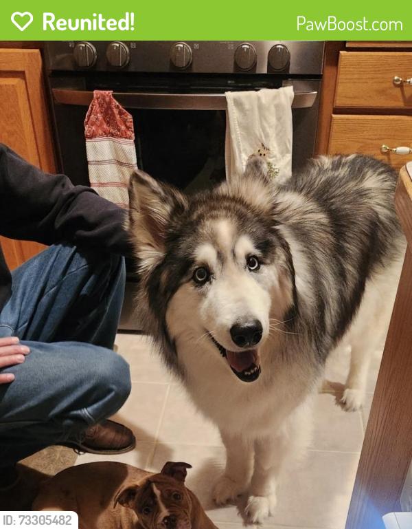 Reunited Female Dog last seen Carpenter nature center Hudson wi, Hudson, WI 54016