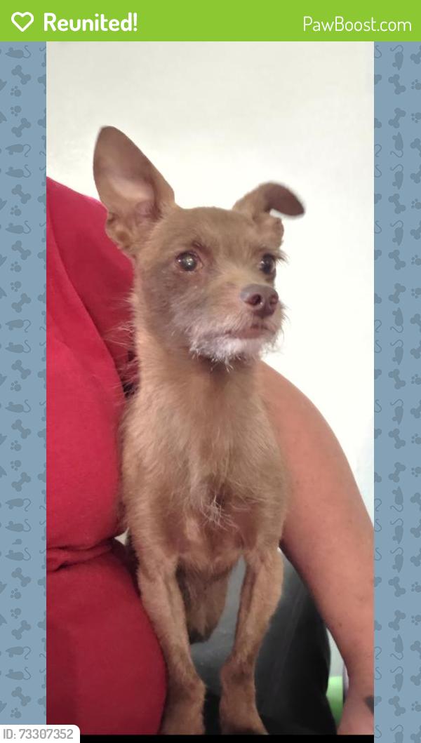 Reunited Male Dog last seen Near Parksouth Ln, Parker, CO 80138, USA, Parker, CO 80138