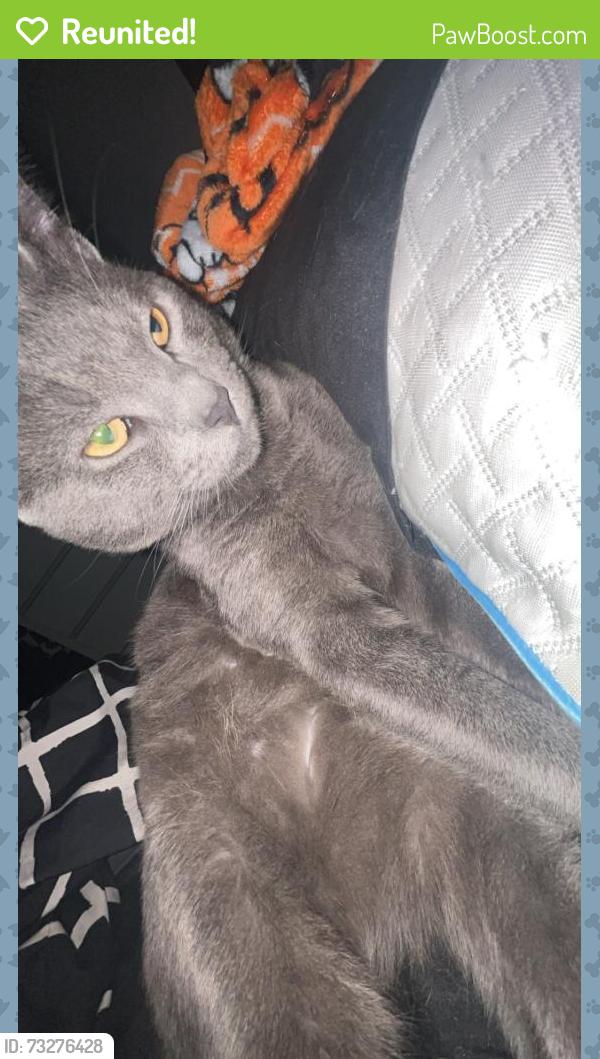 Reunited Male Cat last seen San Gabriel elementary, Liberty Hill, TX 78642