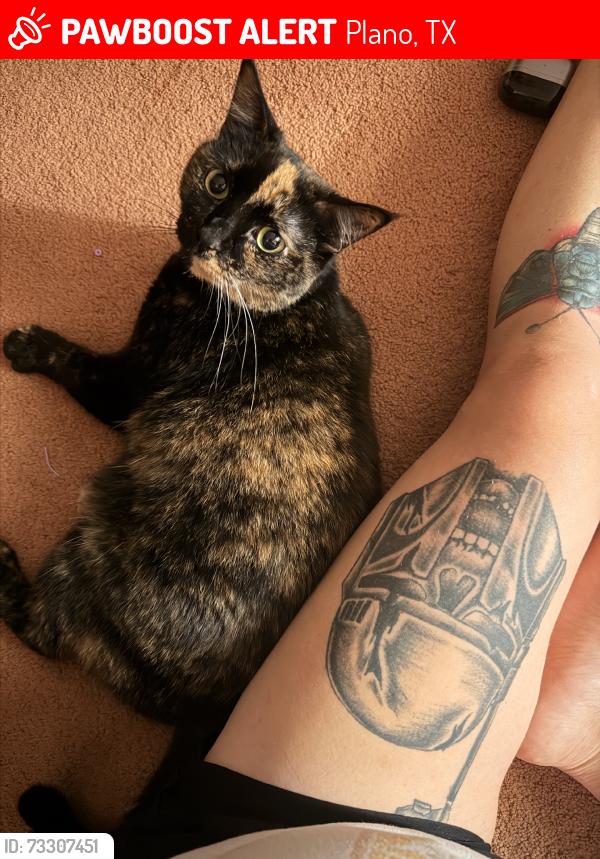 Lost Female Cat last seen Shreveport Trail & Cumberland, Plano, TX 75023