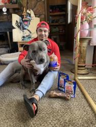 Reunited Male Dog last seen Britton & Western, Oklahoma City, OK 73114