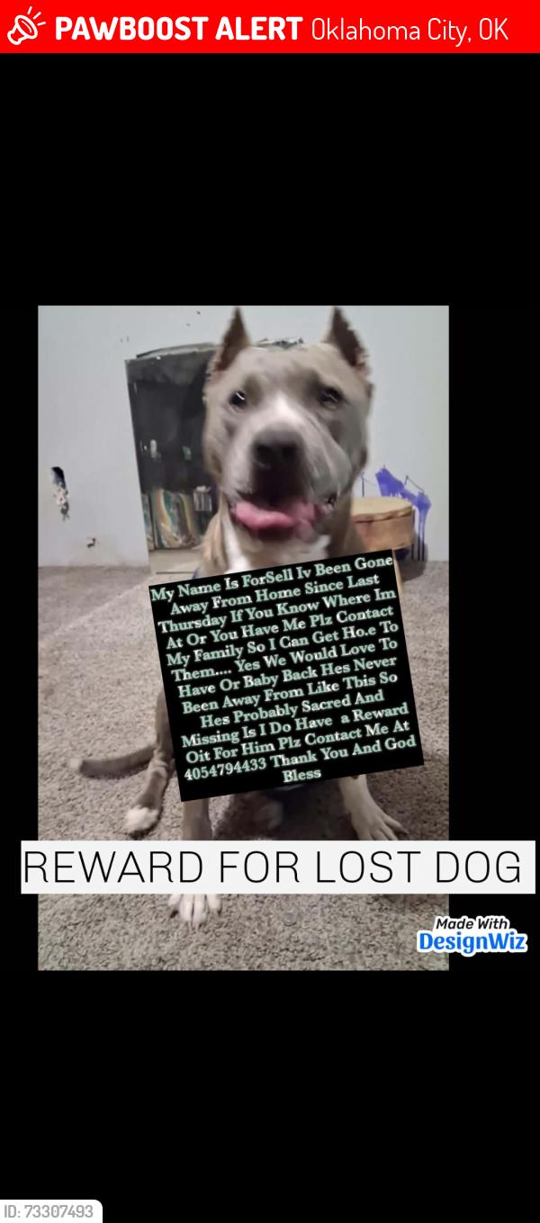 Lost Male Dog last seen Shields and Grand Boulevard, Oklahoma City, OK 73129