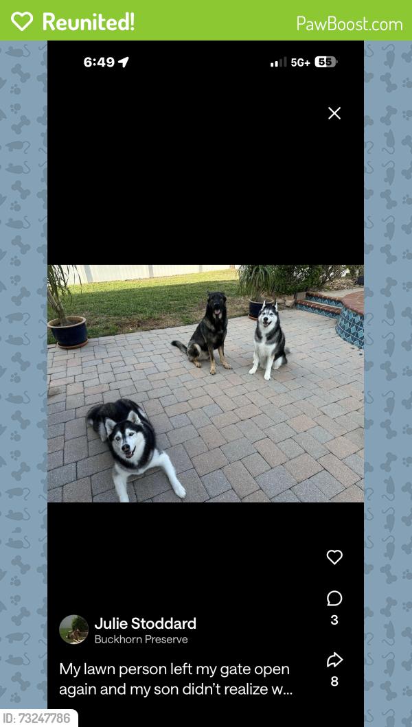 Reunited Male Dog last seen Pearson - Durant - Bloomingdale, Valrico, FL 33596