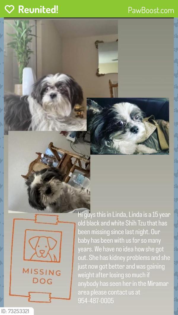 Reunited Female Dog last seen She was by Miramar elementary school, Miramar, FL 33023