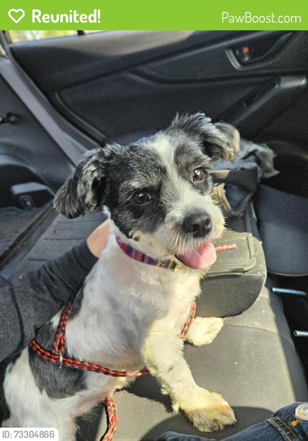 Reunited Female Dog last seen 5th st NE & 46th Ave NE, Columbia Heights, Columbia Heights, MN 55421