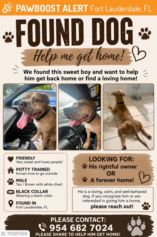 Found/Stray Male Dog last seen Sis trunk blvd behind apmts, Fort Lauderdale, FL 33311