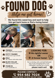 Found/Stray Male Dog last seen Sis trunk blvd behind apmts, Fort Lauderdale, FL 33311