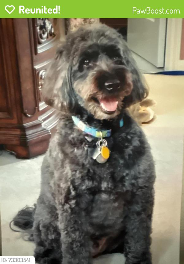Reunited Male Dog last seen Carolina ests Gracious Retirement Living, Greensboro, NC 27410