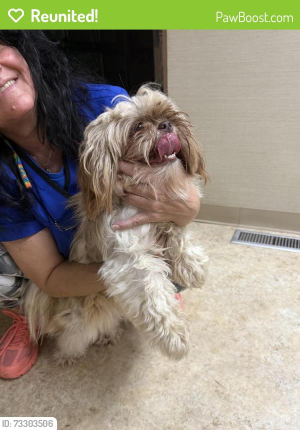 Reunited Female Dog last seen 12 mile and Southfield, Southfield, MI 48076