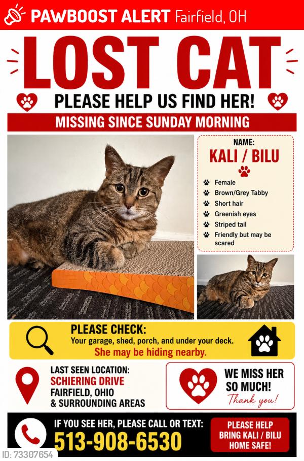 Lost Female Bird last seen Fairfield Ohio 45014, Fairfield, OH 45014