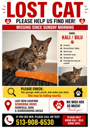 Lost Female Bird last seen Fairfield Ohio 45014, Fairfield, OH 45014
