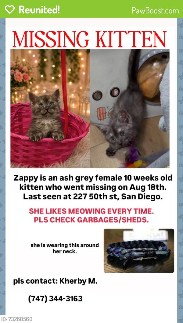 Reunited Female Cat last seen Near 50th St, San Diego, CA 92102, San Diego, CA 92102