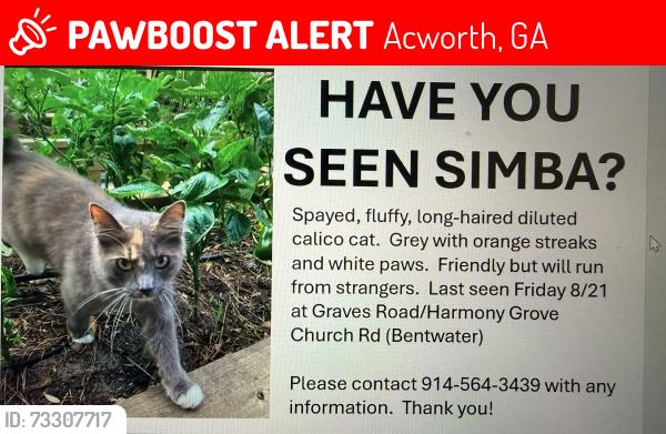 Lost Female Cat last seen Graves road and Harmony church grove road, Acworth, GA 30101