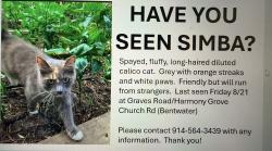 Lost Female Cat last seen Graves road and Harmony church grove road, Acworth, GA 30101