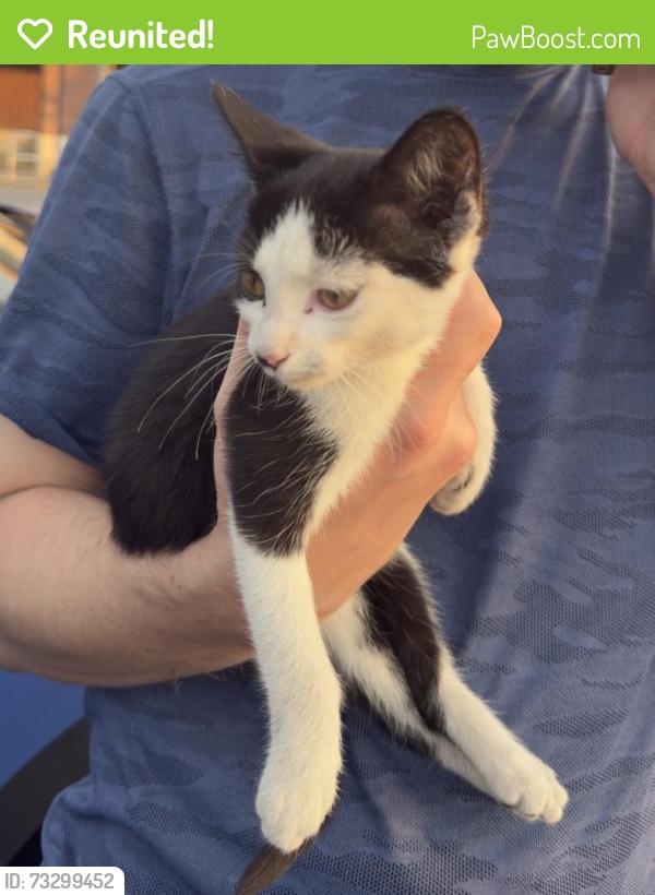 Reunited Unknown Cat last seen Ace Pickleball club, East Pennsboro Township, PA 17025