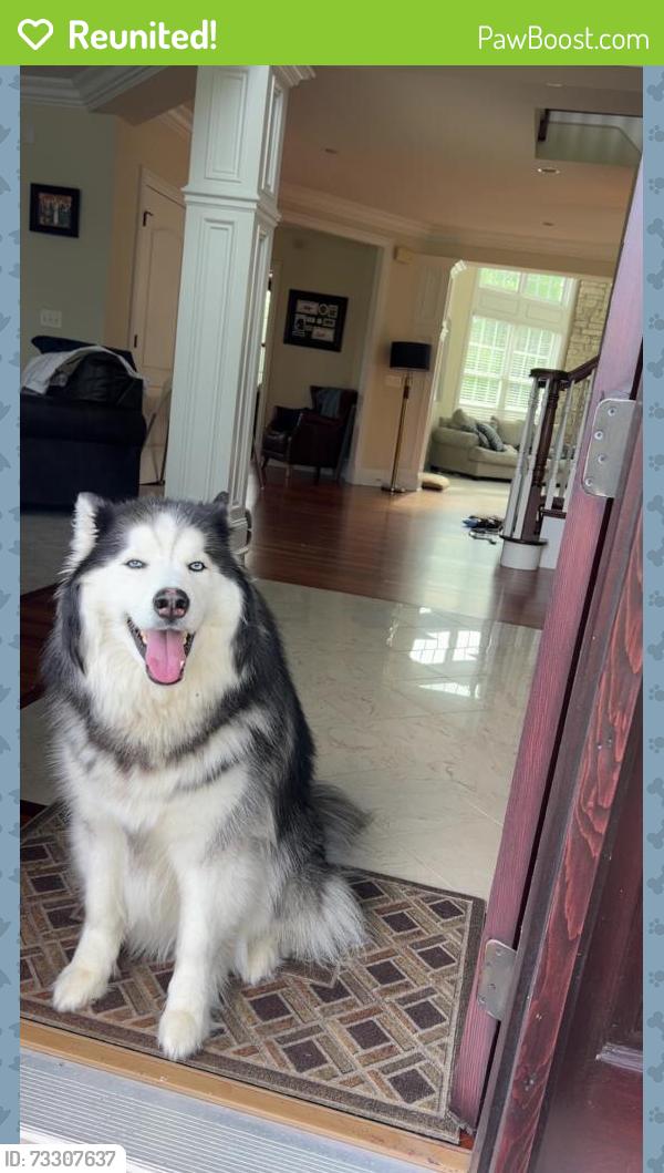 Reunited Male Dog last seen Whispering Trail, St. Charles, IL 60175