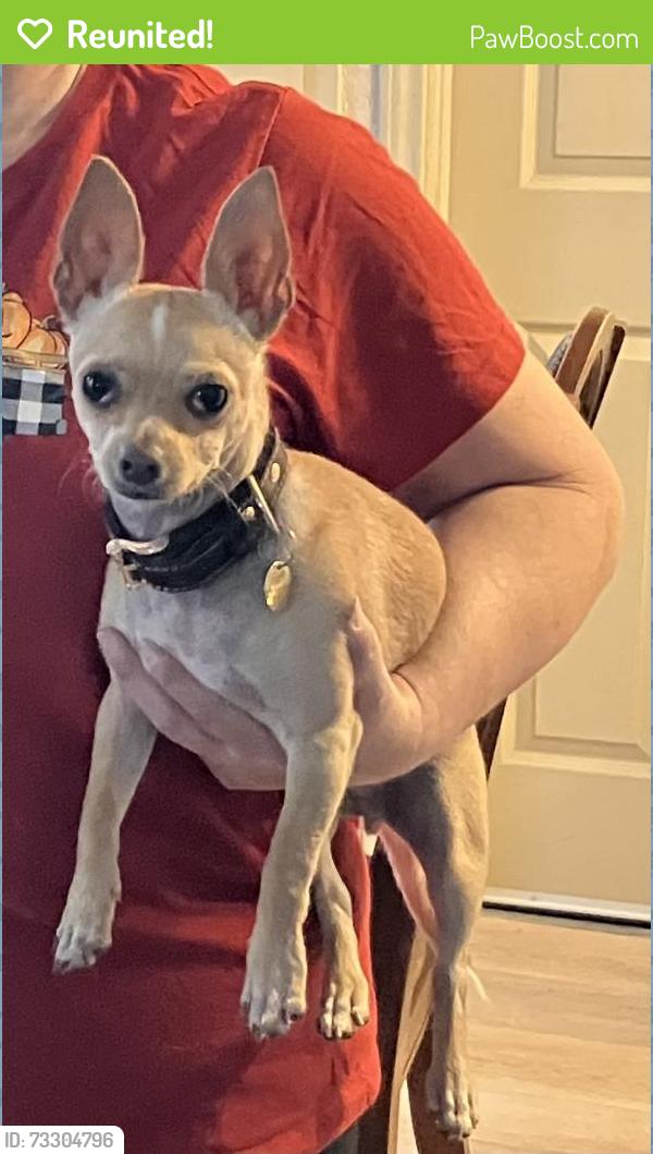 Reunited Male Dog last seen Fredericksburg road and Buckeye Avenue, San Antonio, TX 78201