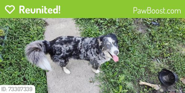 Reunited Unknown Dog last seen Learning Express Preschool, Altoona, PA 16602