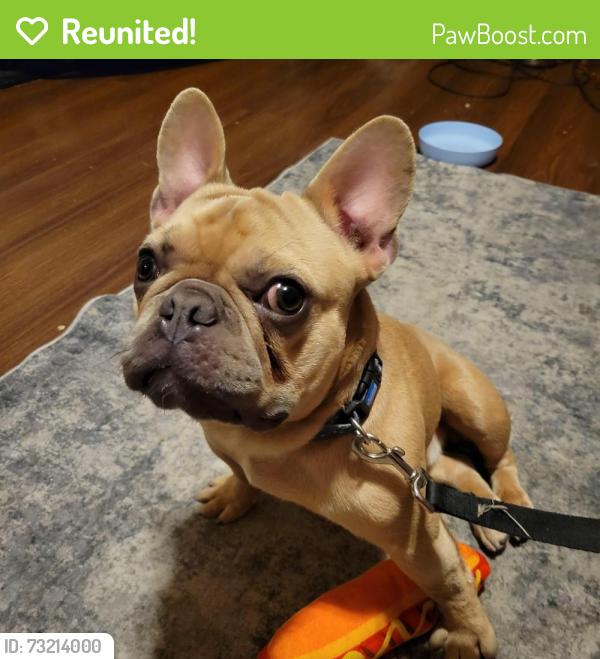 Reunited Male Dog last seen 28th street, Council Bluffs, IA 51501