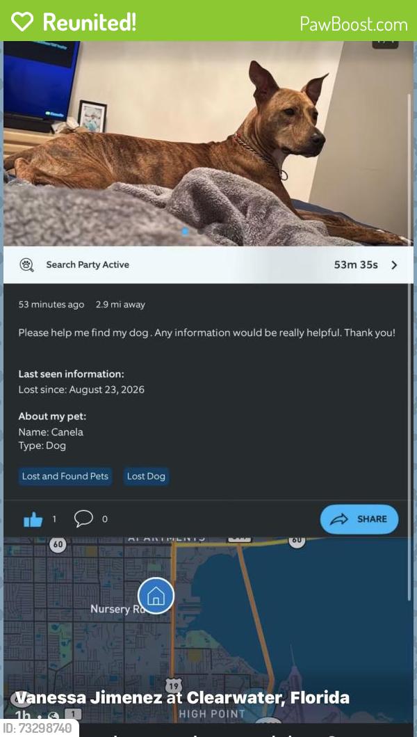 Reunited Female Dog last seen please if you have seen her around she left around 6:30pm, by bayside bridge and rooservelt, Pinellas County, FL 33760