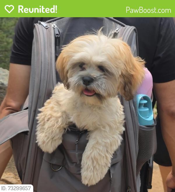 Reunited Female Dog last seen 35th Hello my puppy got out about 20 min ago off of 35th ave and f st by the roundabout, Greeley, CO 80631