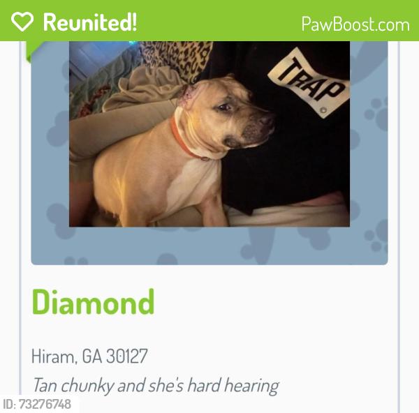 Reunited Female Dog last seen Near clebourne pkwy, Hiram, GA 30141