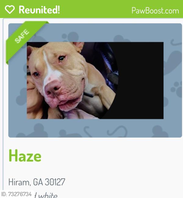 Reunited Male Dog last seen Near clebourne pkwy, Hiram, GA 30141