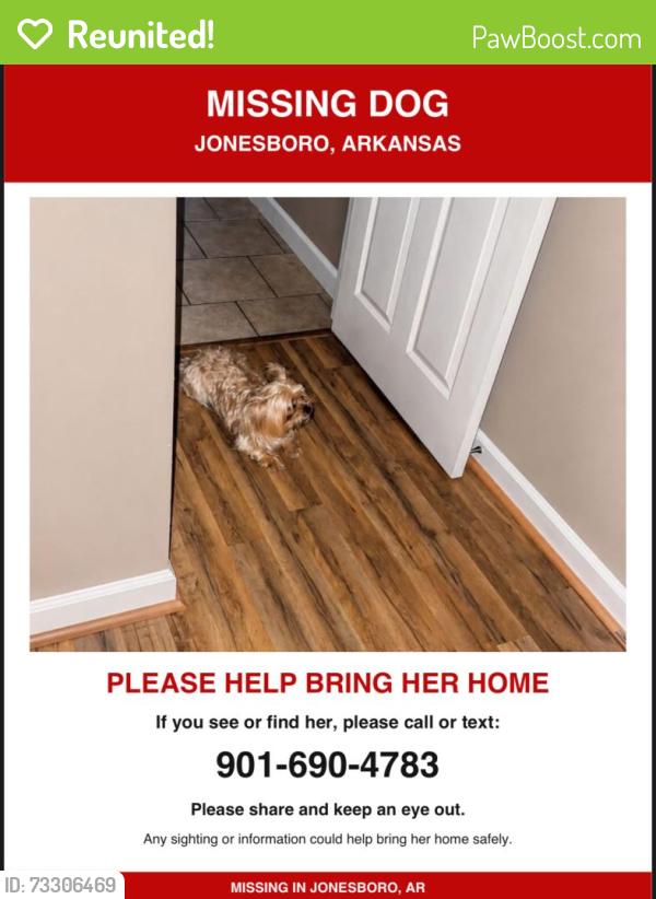 Reunited Female Dog last seen Red wolf, Jonesboro, AR 72404