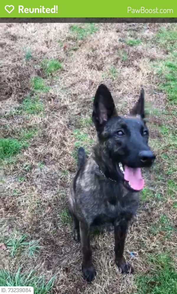Reunited Female Dog last seen Highway 196, Eads, TN 38028