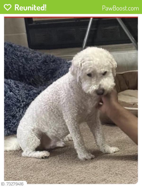 Reunited Male Dog last seen Yosemite Ave, Merced, CA 95340