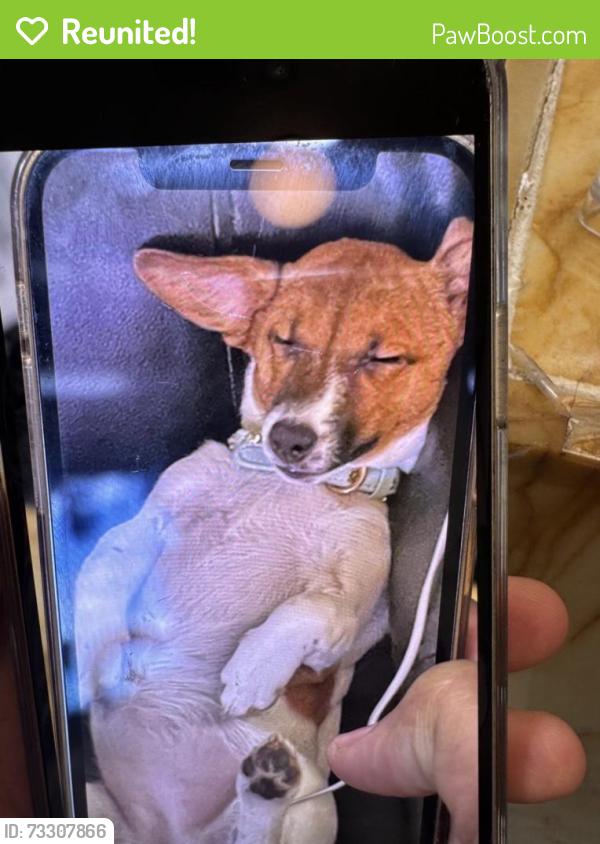 Reunited Female Dog last seen E 91st St & 1st Ave, New York, NY 10128, USA, New York, NY 10128