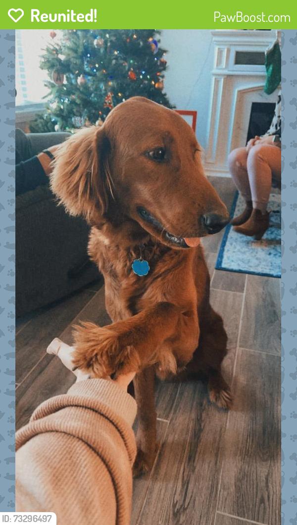Reunited Male Dog last seen Highway 377, Maud, OK 74854