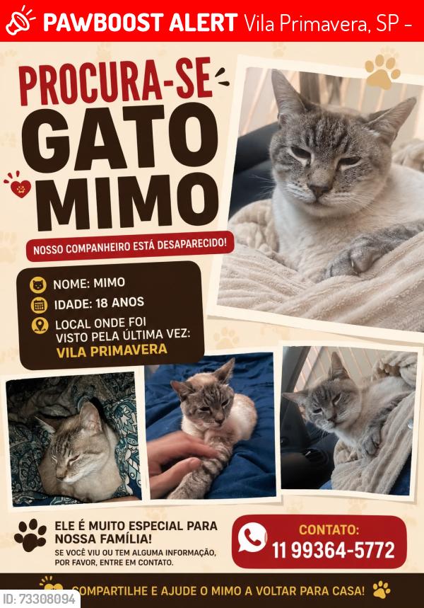 Lost Male Cat last seen Rua jose Manuel da Conceição, Vila Primavera, SP 03389-000