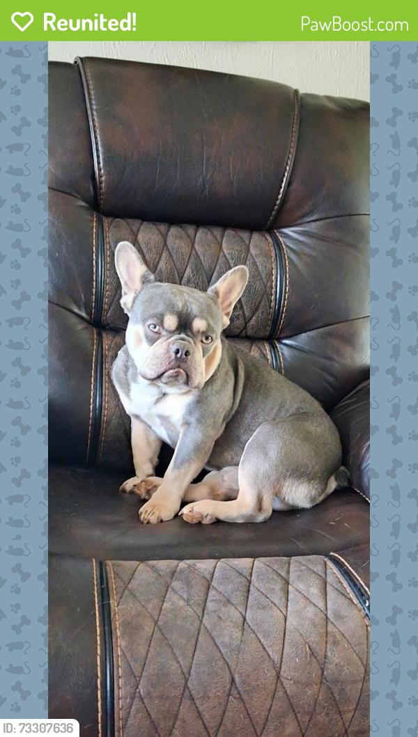 Reunited Male Dog last seen Apalachee and Tally Ann, Tallahassee, FL 32311