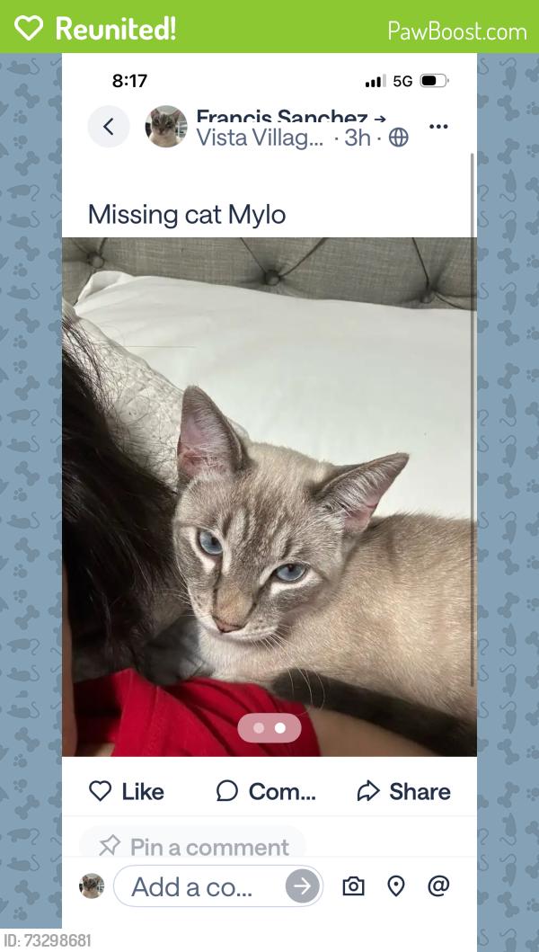 Reunited Male Cat last seen 801Hillside Terrance vista, Vista, CA 92084