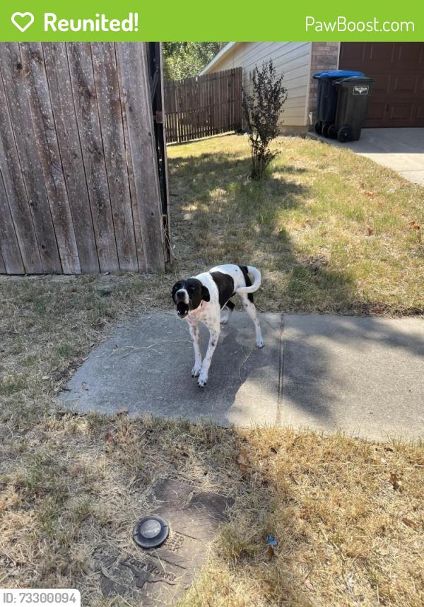 Reunited Unknown Dog last seen Deuville, WHT SETTLEMT, TX 76108