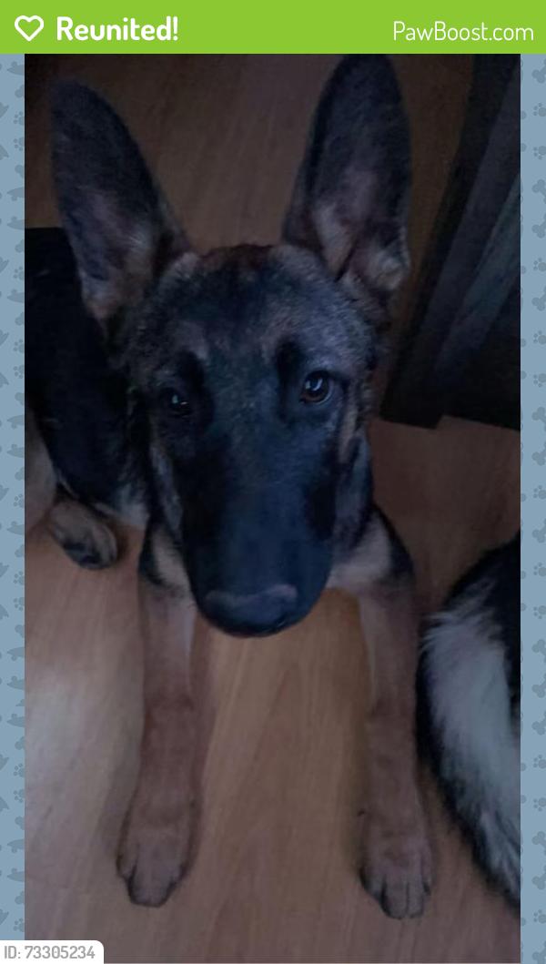 Reunited Female Dog last seen Topaz near Main Street, Hesperia, CA 92344
