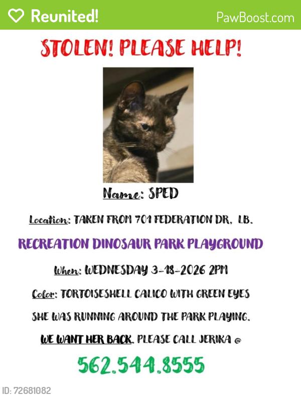 Reunited Female Cat last seen Recreation Park, Long Beach, CA 90814