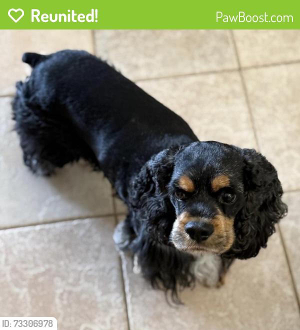 Reunited Male Dog last seen Near HALF MOON CIR apt D3, Hypoluxo, FL 33462