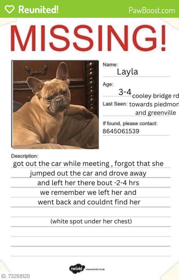 Reunited Female Dog last seen cooley bridge road going towards peidmont/greenville area, Belton, SC 29627