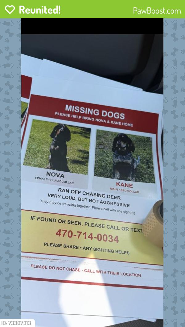 Reunited Female Dog last seen Dogwood Farms Dr, Georgia 30034, USA, DeKalb County, GA 30034