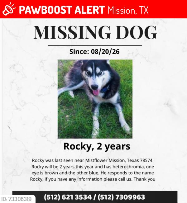 Lost Male Dog last seen Brushline Mile 7, Mission, TX 78574