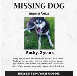 Lost Male Dog last seen Brushline Mile 7, Mission, TX 78574