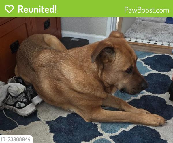 Reunited Male Dog last seen The park at 7th and Del Mar, Aurora, CO 80011