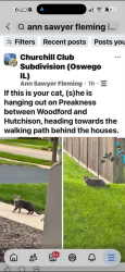 Lost Female Cat last seen Woodford & Hutchinson, Oswego, IL 60543