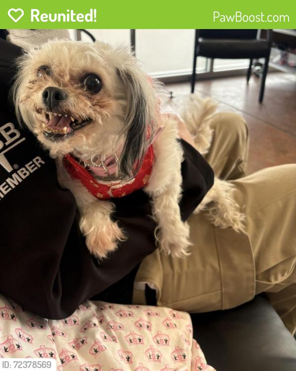 Reunited Female Dog last seen Federal BLVD & 14TH ST, Denver, CO 80231
